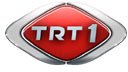 Logo TRT 1